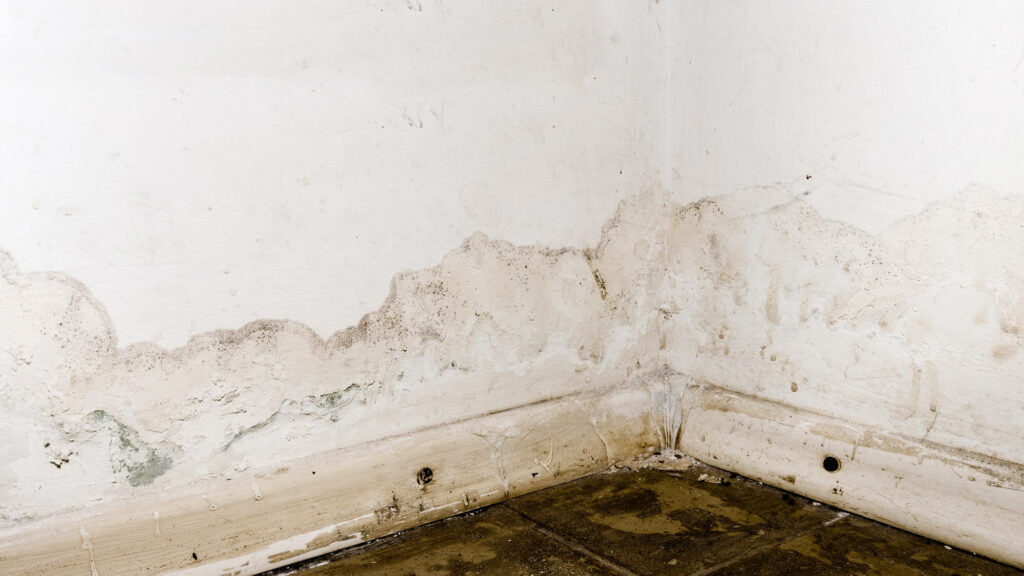 Avant d'aménager une chambre en sous-sol il faut traiter l'humidité.