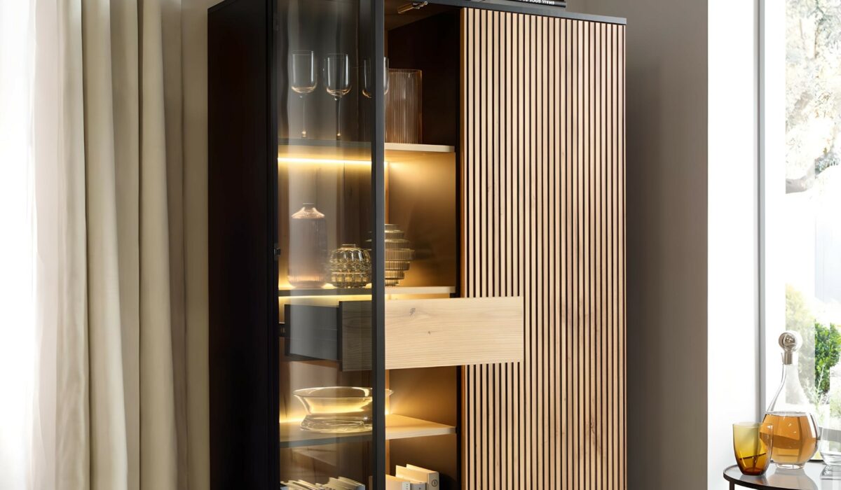 Éclat et Rangement Vitrine MAEL à Deux Portes