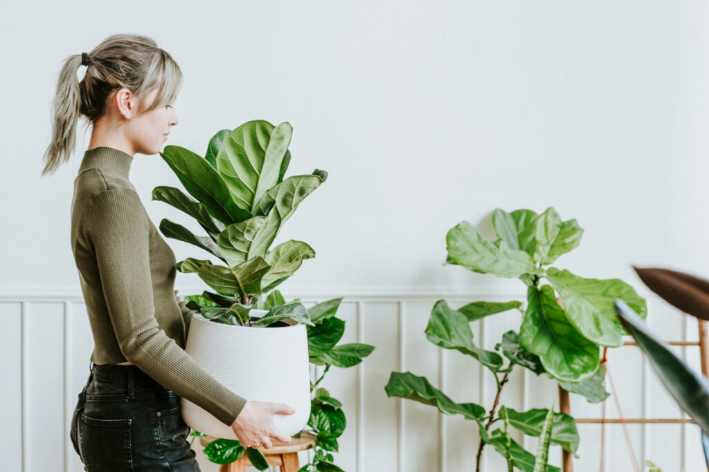 Ajoutez des plantes pour créer un bureau d'appoint à la maison