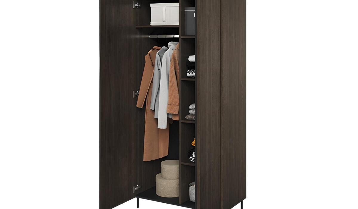 Profitez d'un espace de rangement généreux et d'un design élégant avec l'armoire CARENNE