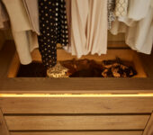 arrangements 3 – wardrobe. 